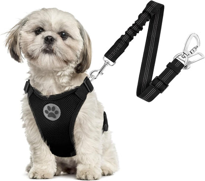 SlowTon Dog Seat Belt Harness for Car, Dog Car Harness Adjustable Mesh Breathable & Dog Seatbelt Safety Tether with Elastic Bungee for Small Medium Large Pets(Black, Double Clip, M) - Image 13