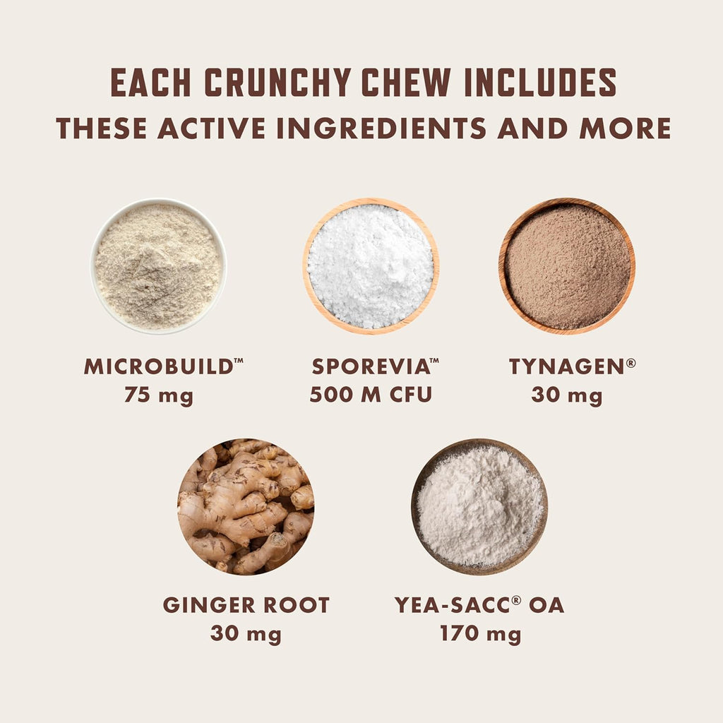 Premium USA imported cat prebiotic and probiotic crunchy treats