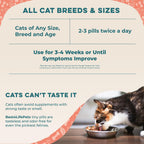 All natural premium skin and coat health supplement for kittens.