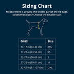 Ruffwear dog travel harness showing strength-rated metal buckle