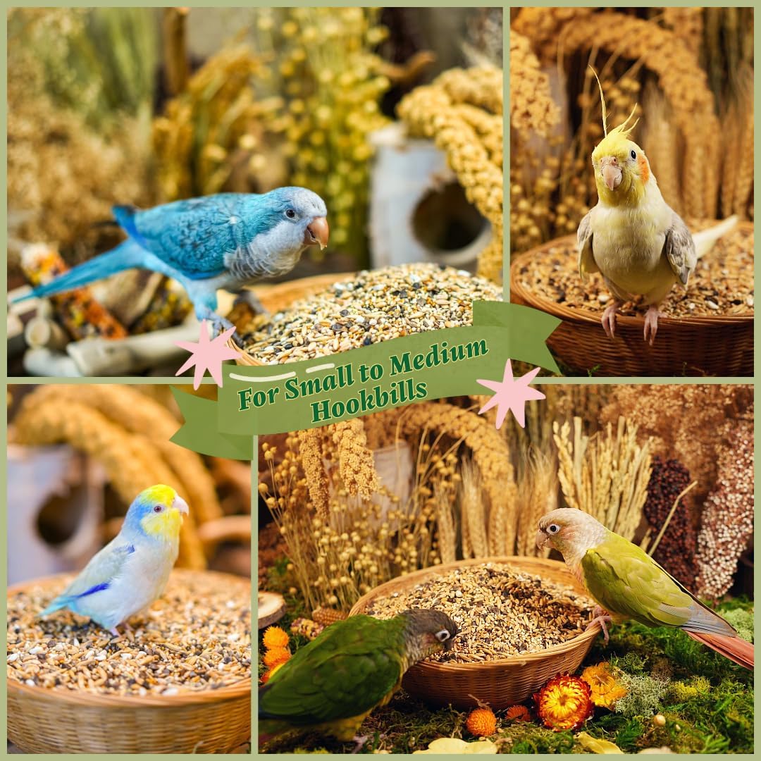 Ingredient texture view of KikiBirds bird food