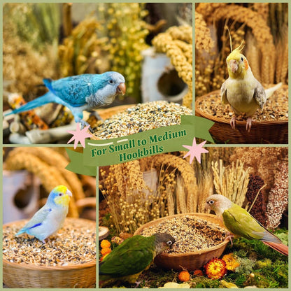 Ingredient texture view of KikiBirds bird food