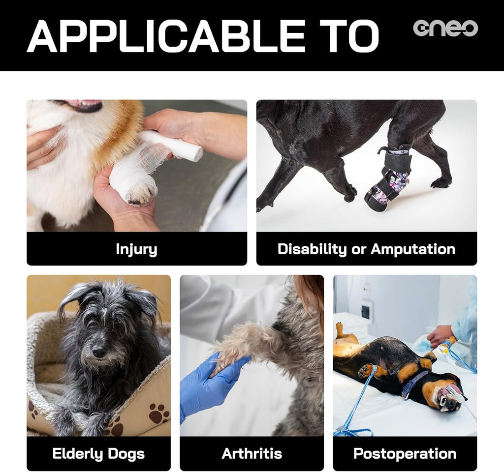 Dog wearing Cneo lift harness for hind leg support
