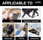 Dog wearing Cneo lift harness for hind leg support