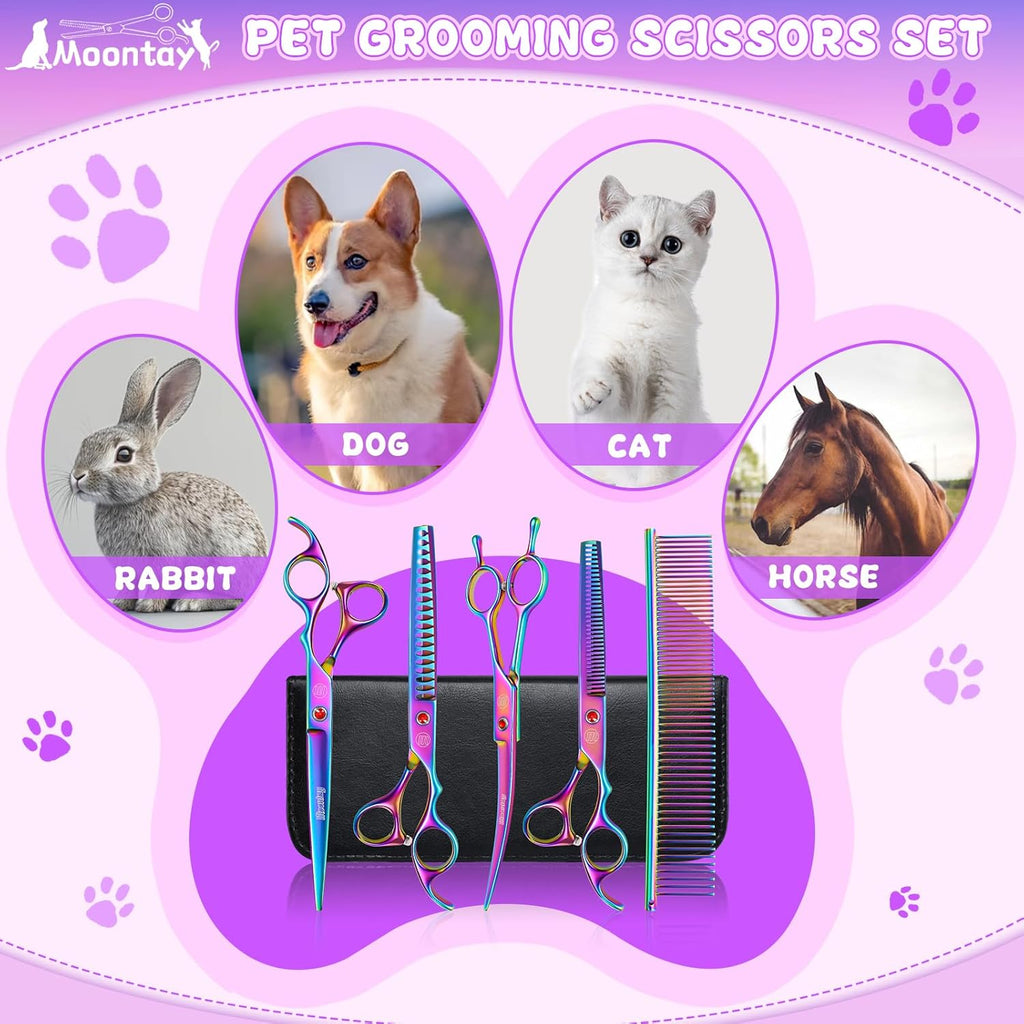 Moontay four piece pet shear kit housed inside the black protective carrying case.