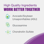 Brand logo and branding on Dasuquin cat joint supplement