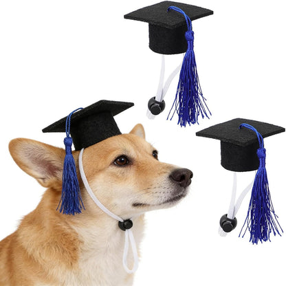 Soochat 2Pcs Mini Graduation Caps with Tassel Small Animal Bachelor Hat Graduation Photo Props Holiday Costume Accessory for Cat Dog (Yellow) - Image 9