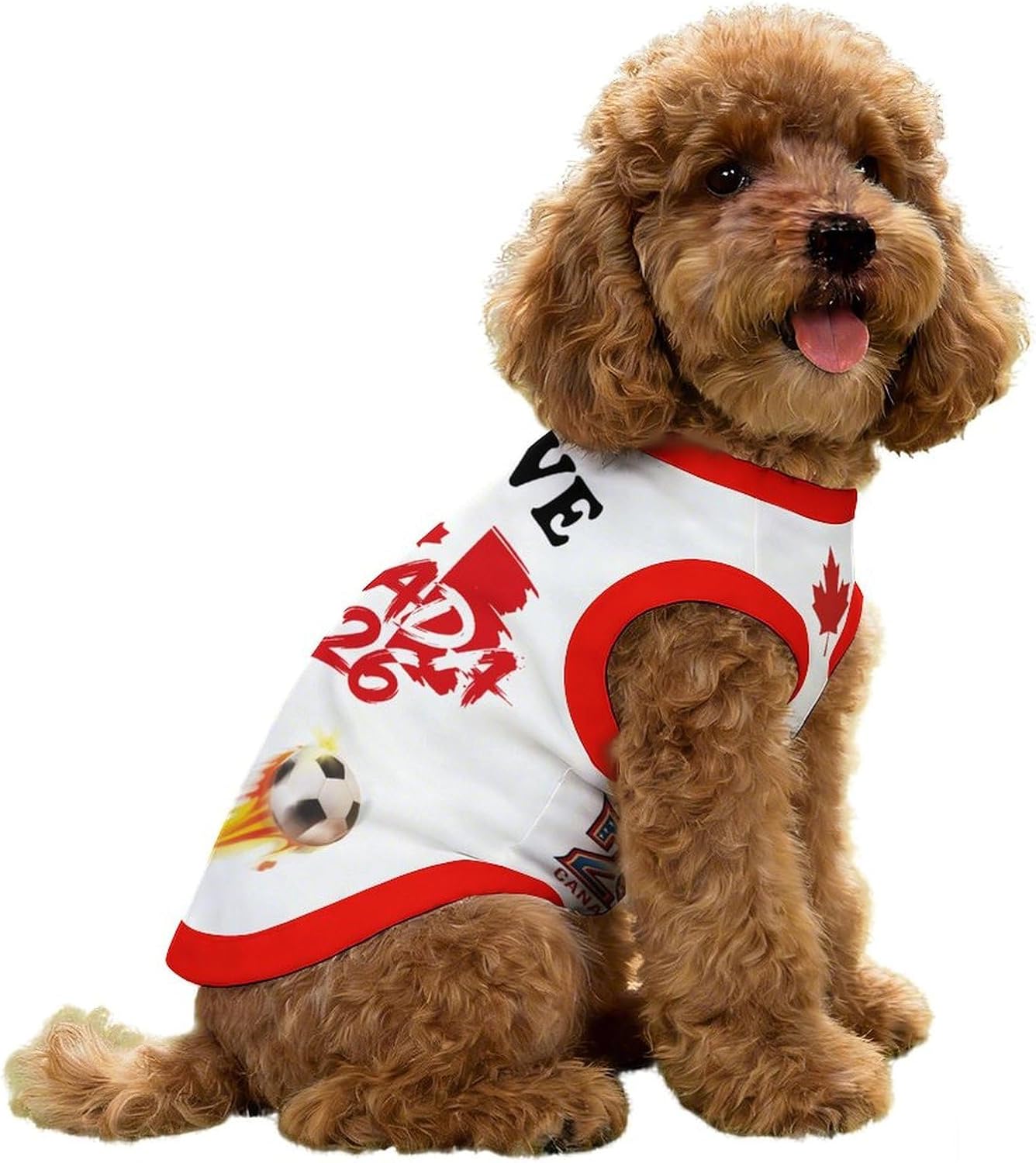 Soccer Cup 2026 Pet Soccer Jersey Mexico Shirt for Dogs Cats Game Day Cooling Sportswear Small - Image 9