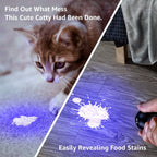 Lighting EVER portable 9 LED UV torch illuminating a hidden carpet stain.
