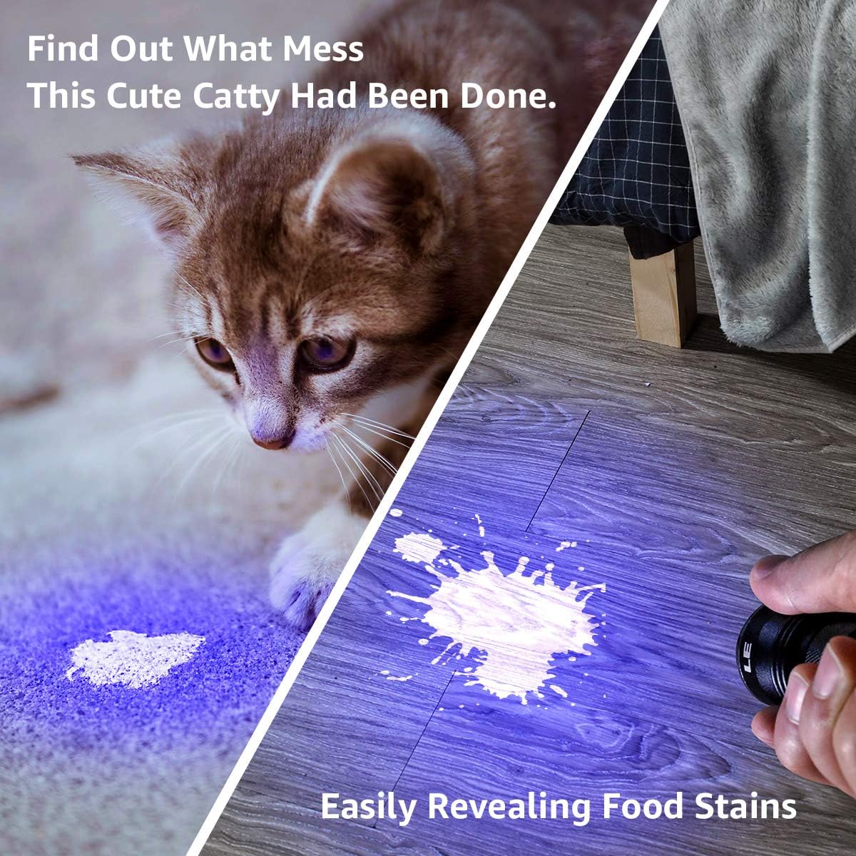 Lighting EVER portable 9 LED UV torch illuminating a hidden carpet stain.
