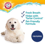 Close up of Arm and Hammer puppy dental kit contents