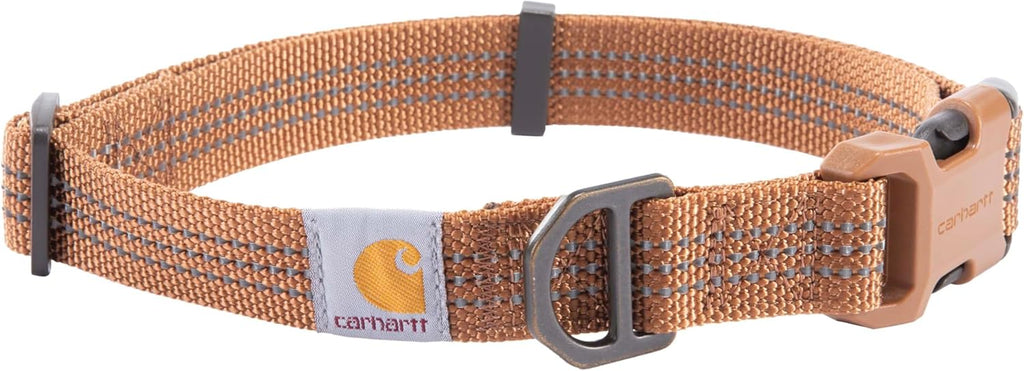 Dog wearing Carhartt Shaded Spruce webbing collar