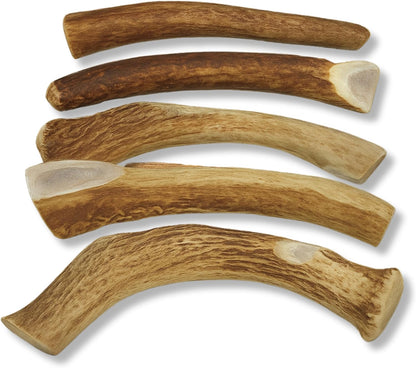 Odorless and mess free WhiteTail Naturals deer antlers displayed for indoor pet chewing.