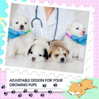 Nezyo puppy ID bands showing the exact 18.5 inch length and width dimensions suitable for small dogs and cats.