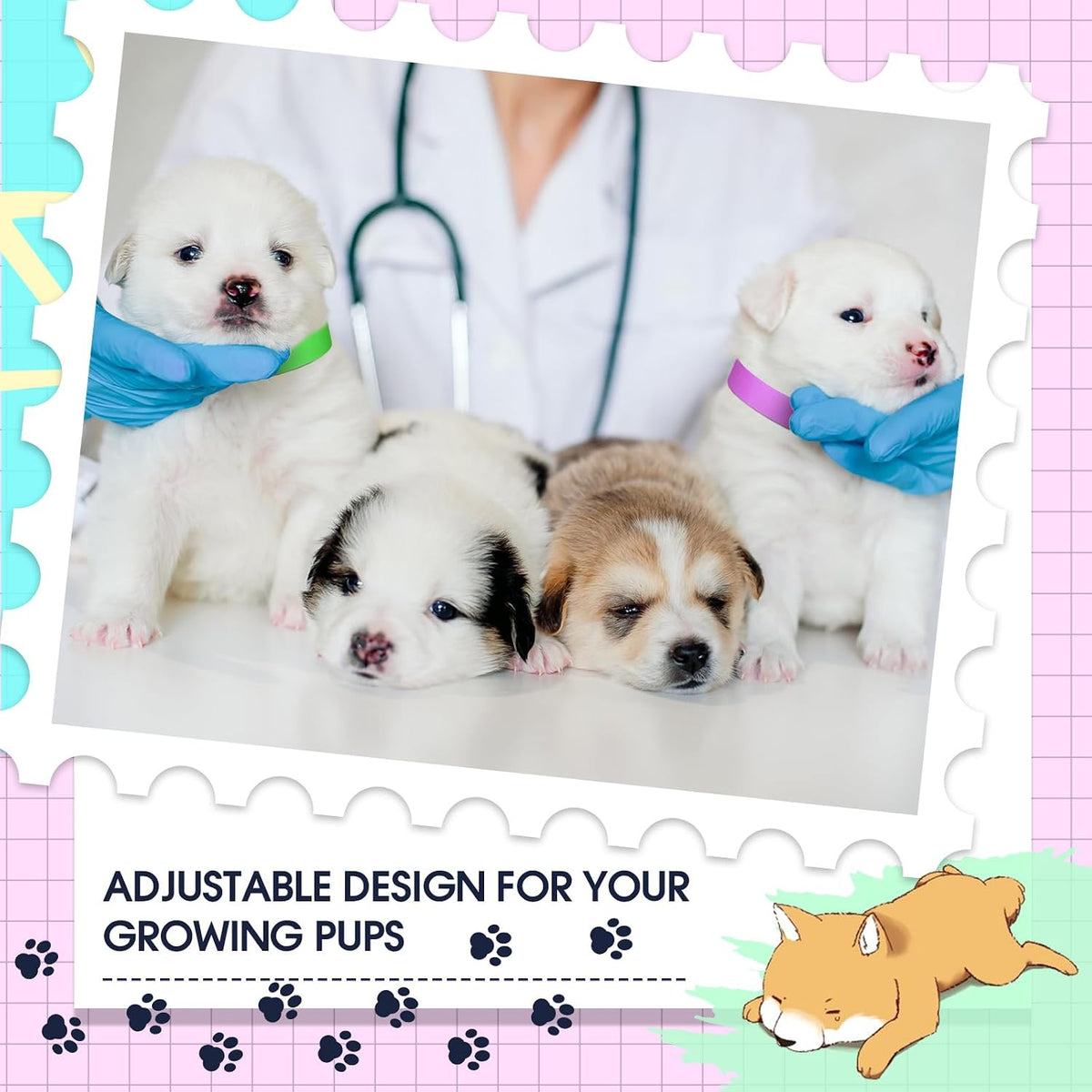 Nezyo puppy ID bands showing the exact 18.5 inch length and width dimensions suitable for small dogs and cats.