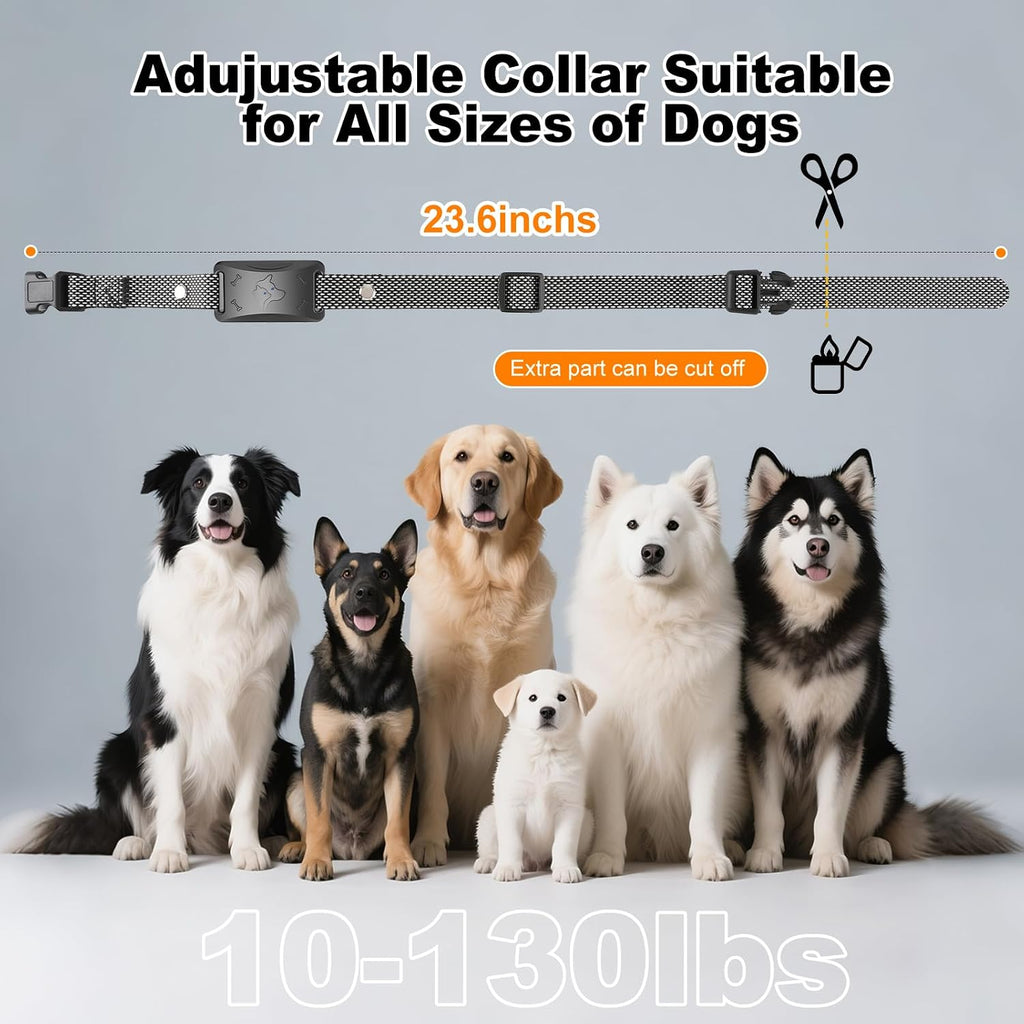 Ecoluminor pet training collar kit with accessories and power cables