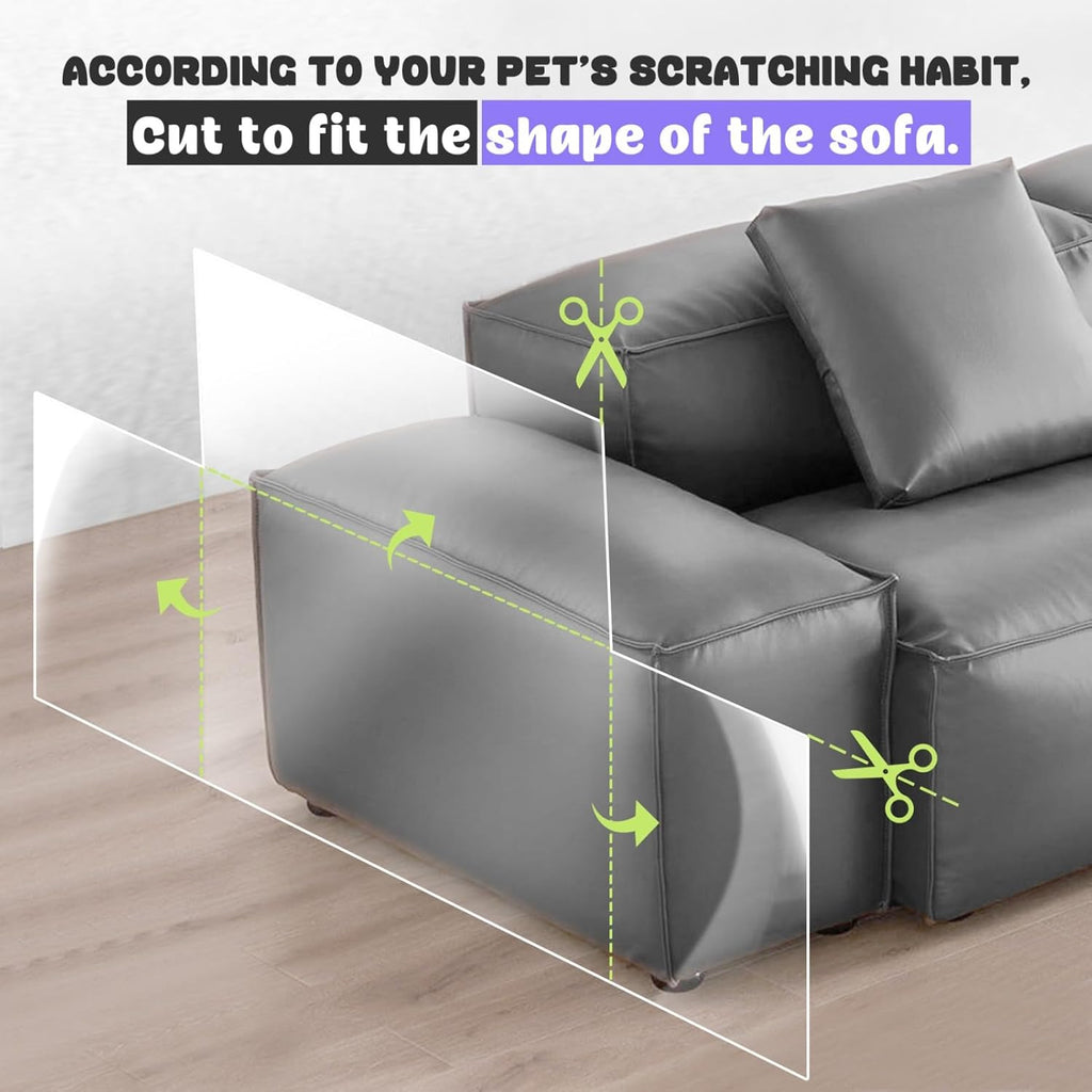 Cat near protected sofa showing scratch deterrence