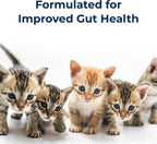 PetAg KMR kitten milk formula can back panel ingredients and directions