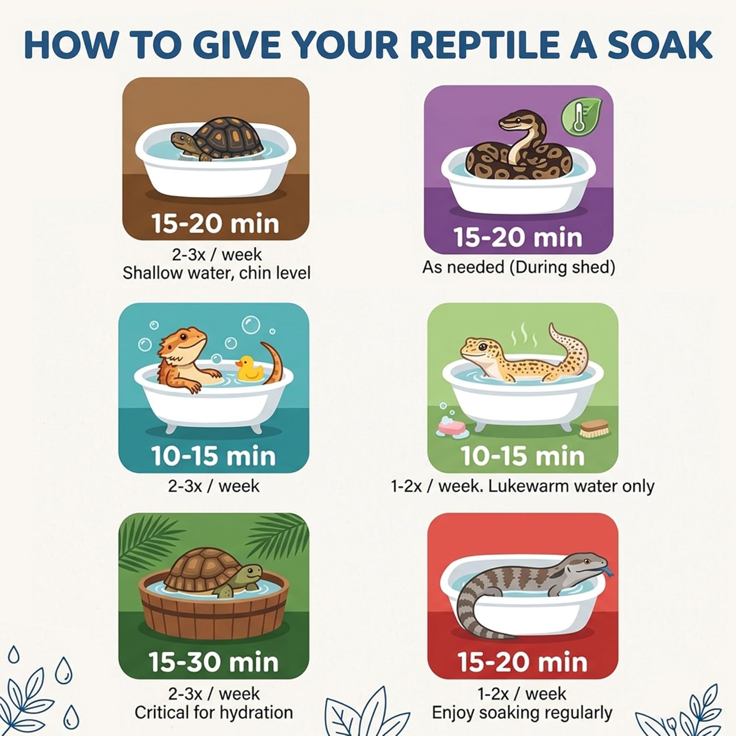 Bearded dragon enjoying a hydrating vitamin soak in a shallow tub
