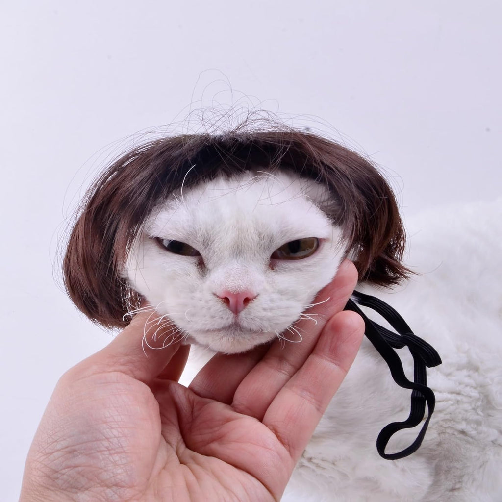 Cat wearing Lamiaraga DIY haircut pet wig