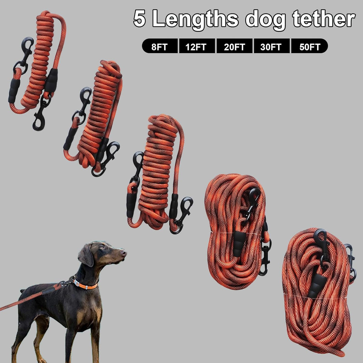 BTINESFUL premium imported long tether check cord packaging look