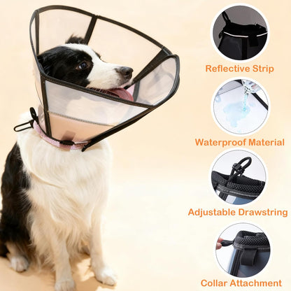 Side view of clear plastic dog surgical cone on a Golden Retriever.