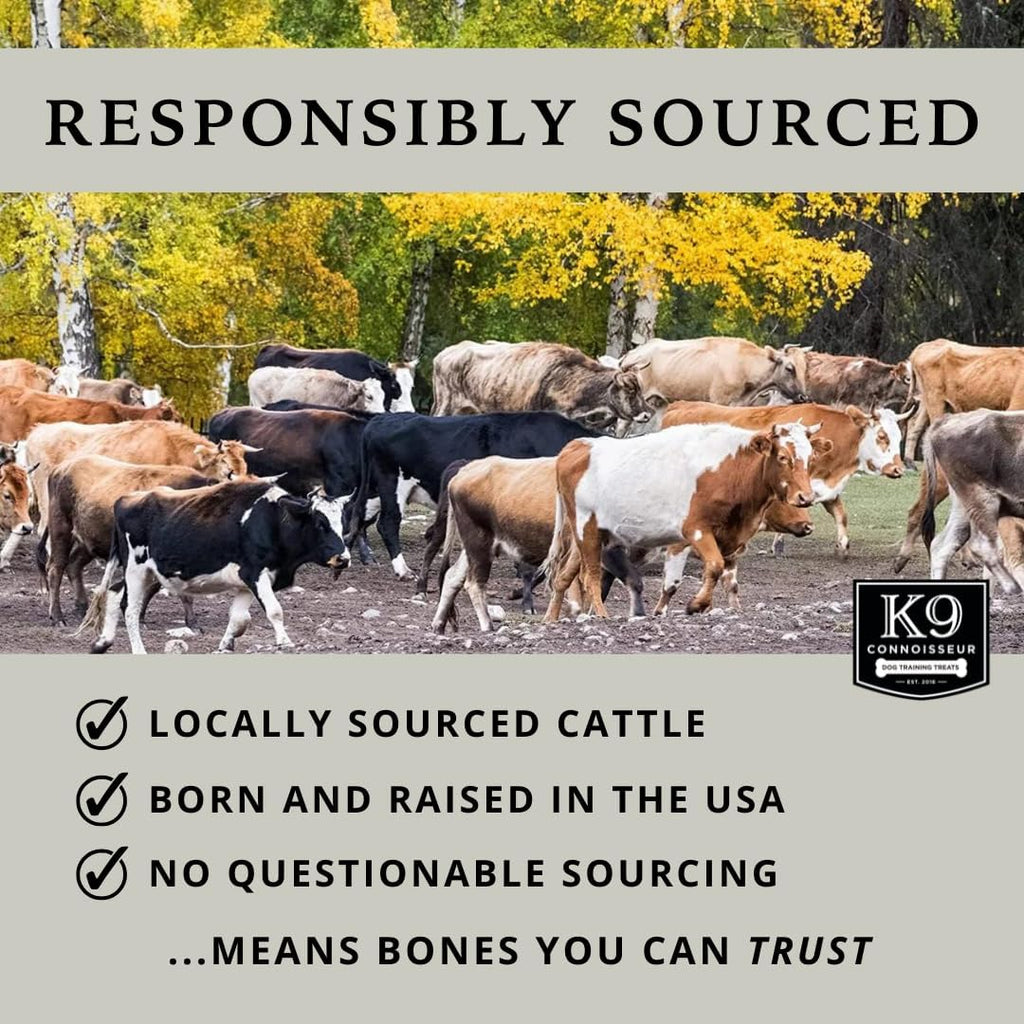 K9 Connoisseur natural dog bones showing the nutrient rich marrow filling inside.