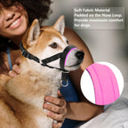 Premium nylon dog training halter with soft pink fabric padding details.