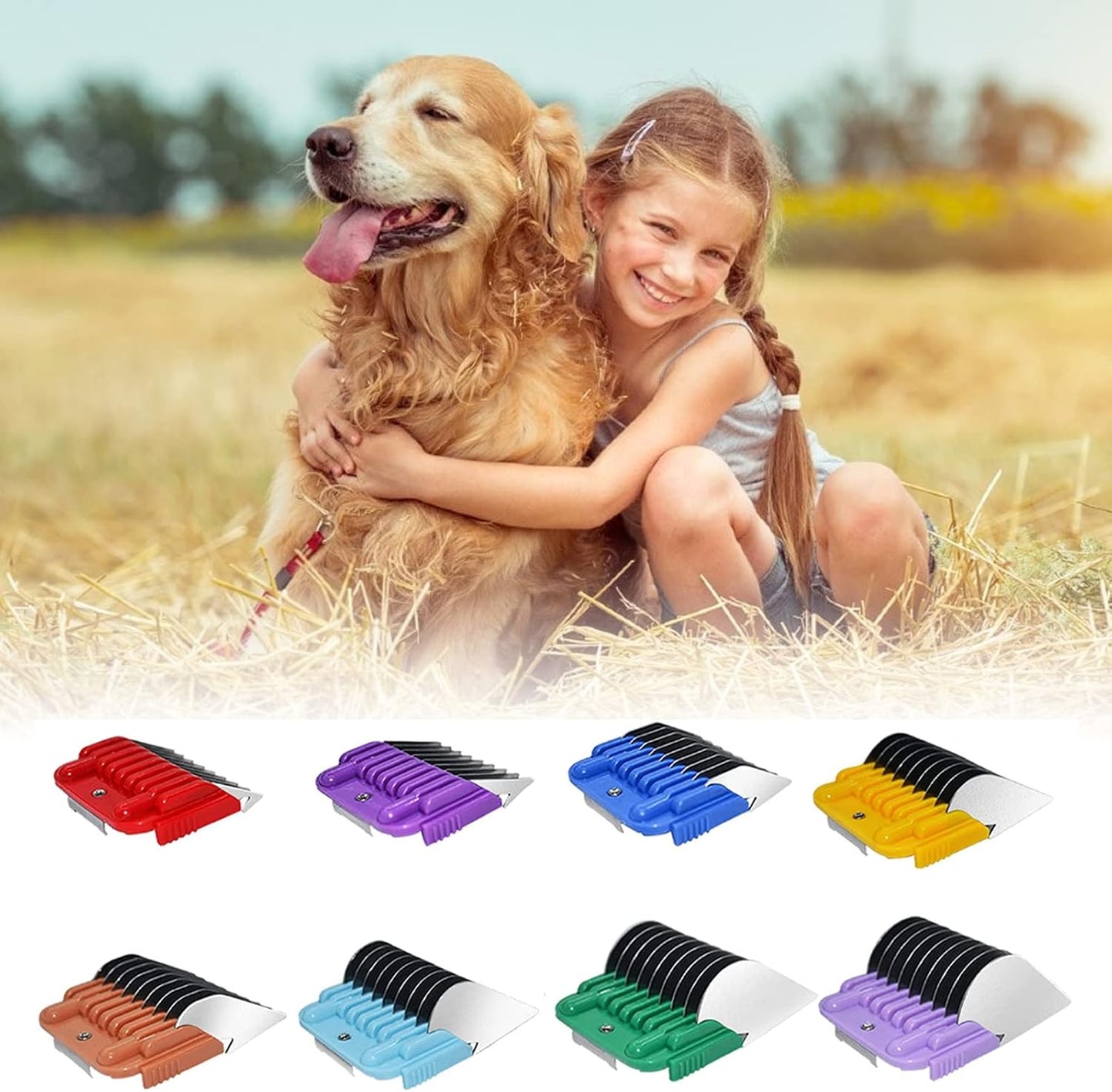 Side angle of the Dodaer pet grooming comb set demonstrating the snap-on mechanism for detachable blades.