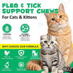 Back label of Oimmal cat flea defense supplement detailing premium ingredients and vitamin B complex