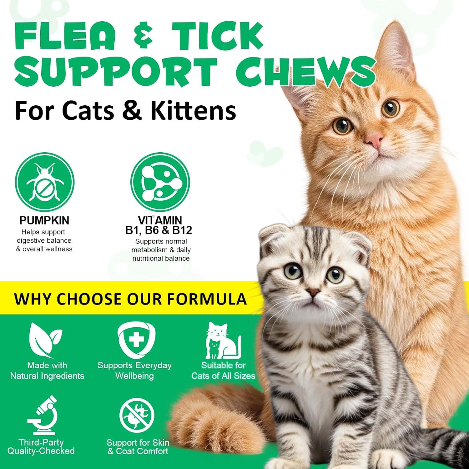 Back label of Oimmal cat flea defense supplement detailing premium ingredients and vitamin B complex