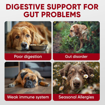 Pawzitive Pets pre and probiotics for dogs soft chews side view showing ingredients