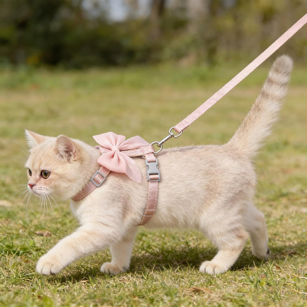 Adjustable kitten vest harness in shimmering pink color with matching walking leash.