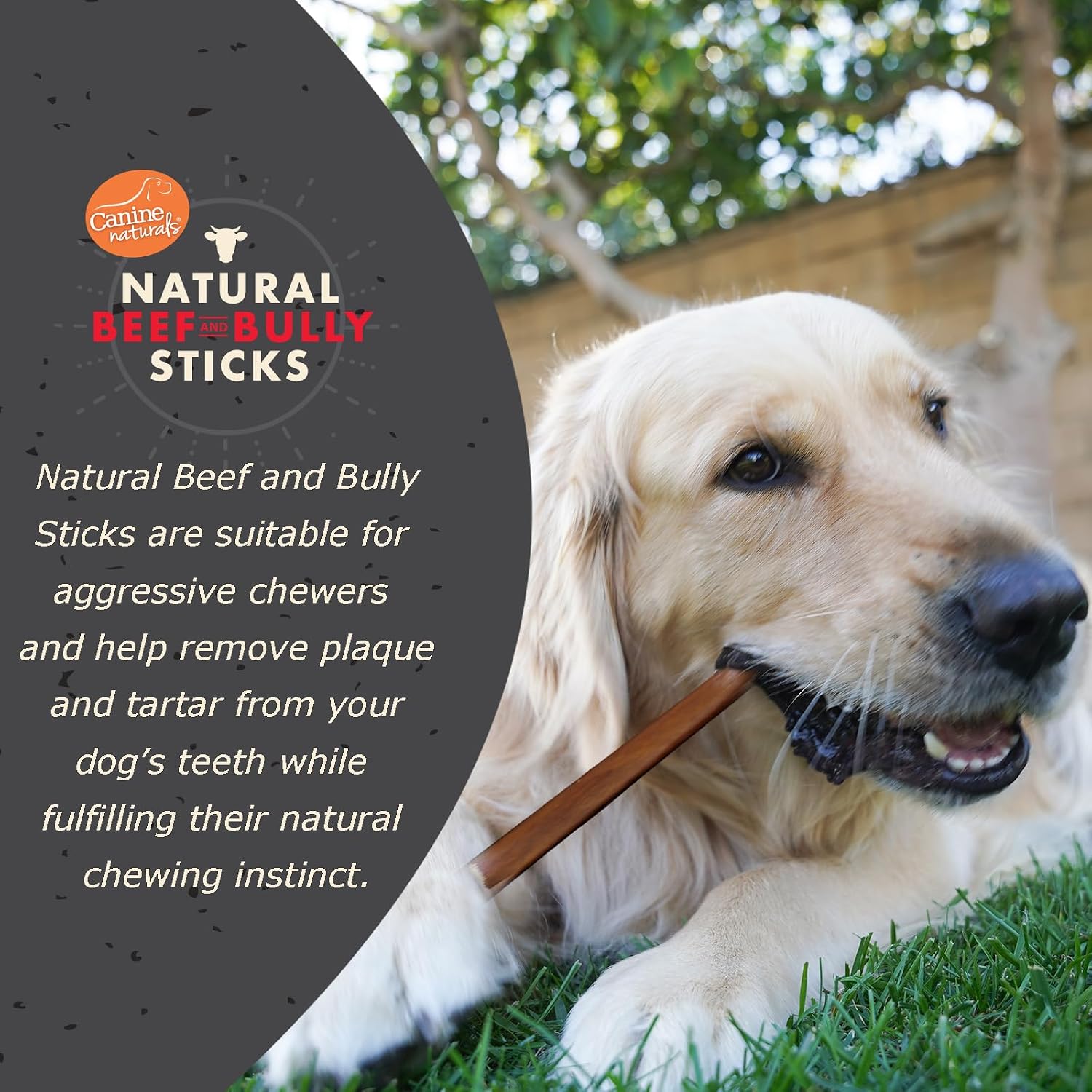 Canine Naturals high protein medium dog treats for dental health care.