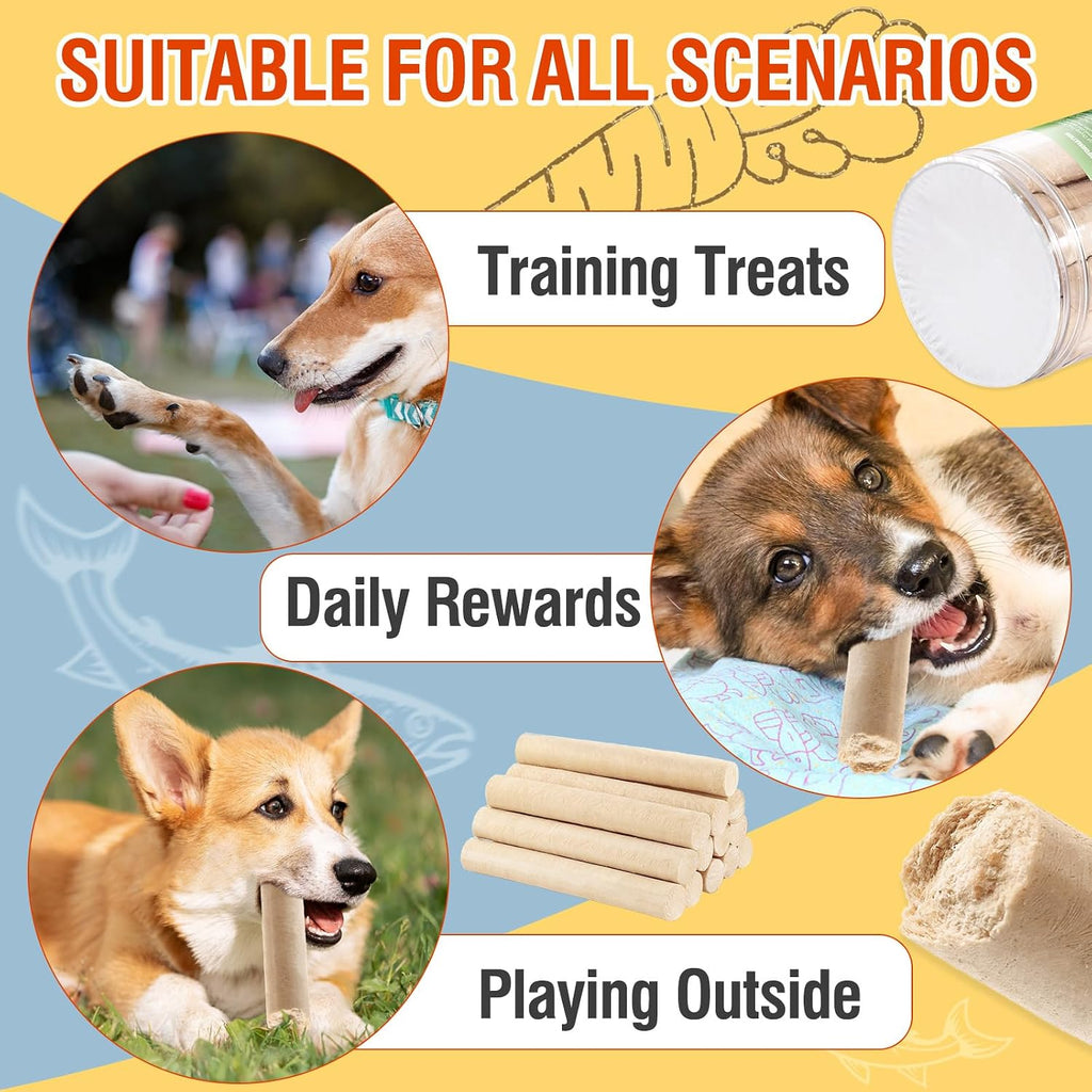 Packsy salmon dog snacks in 100g container