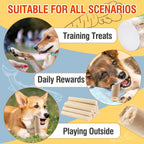 Packsy salmon dog snacks in 100g container
