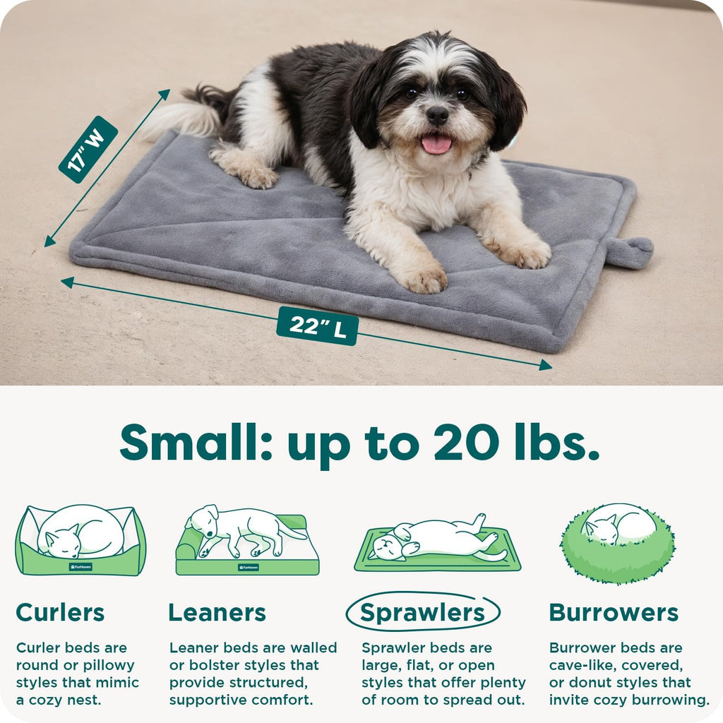 Small dog resting on Furhaven ThermaNAP warming mat
