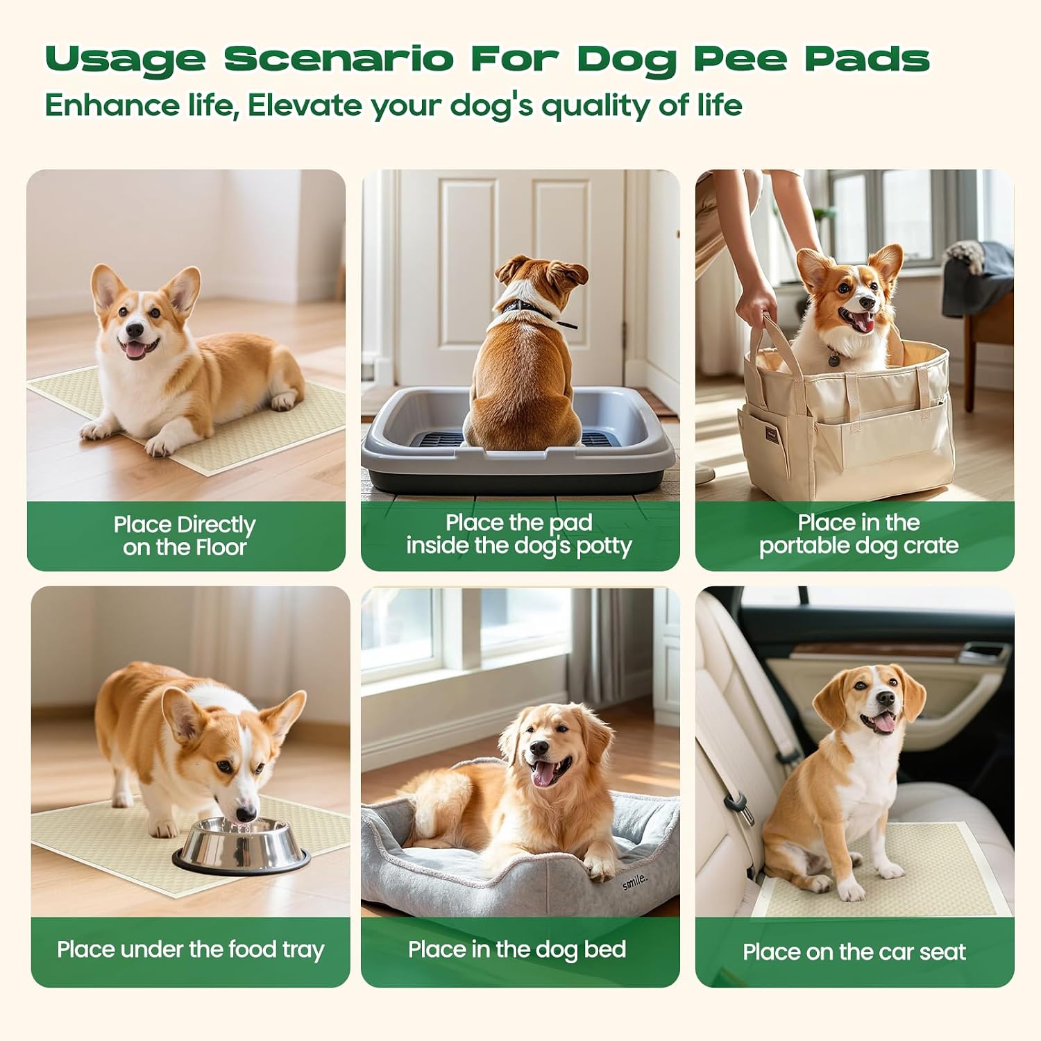 Deodorizing doggie pee pads neutralizing ammonia odors in a living room.