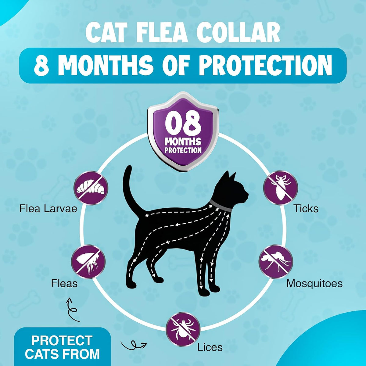 Cat wearing waterproof flea and tick collar