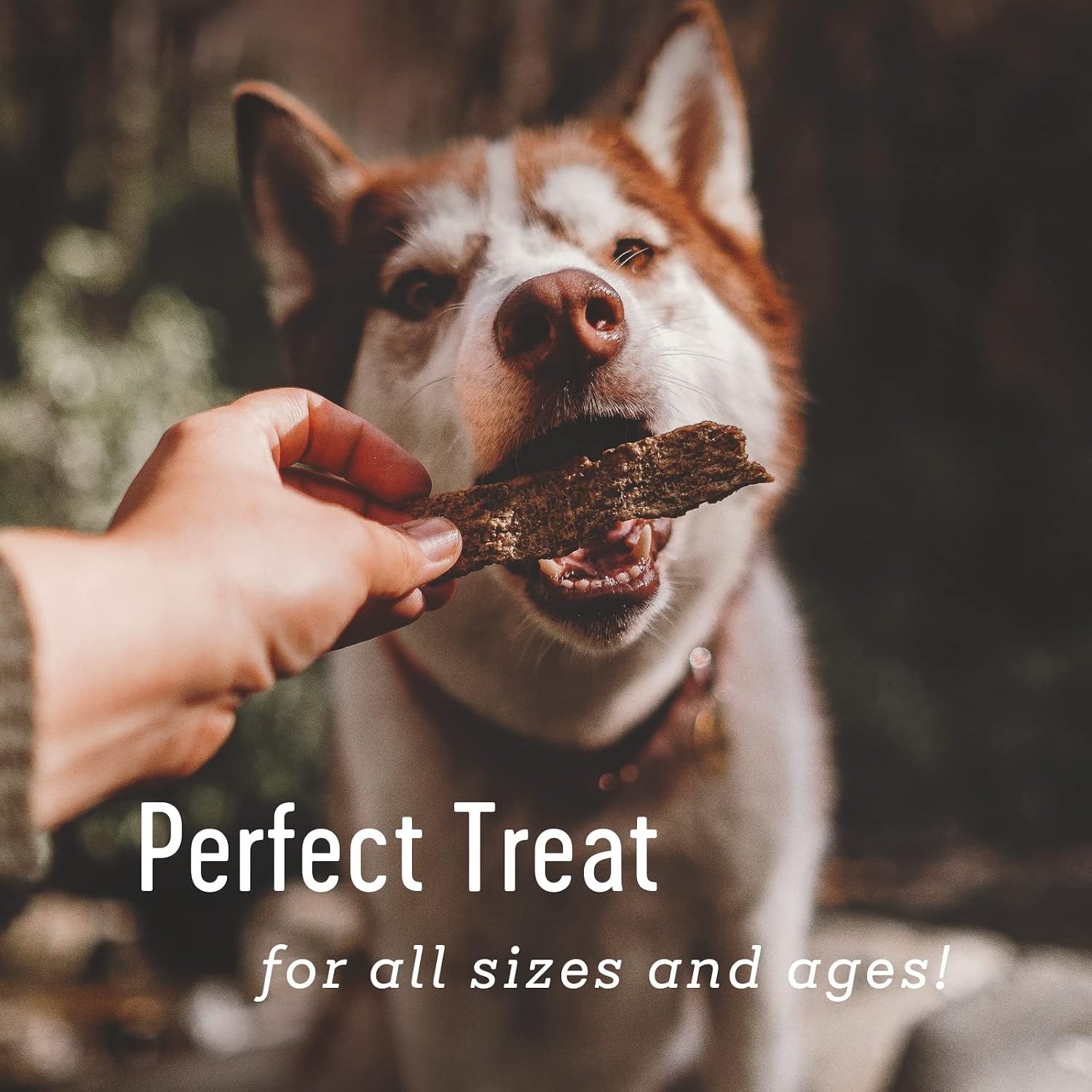 Farm Hounds dog treats ingredient quality assurance