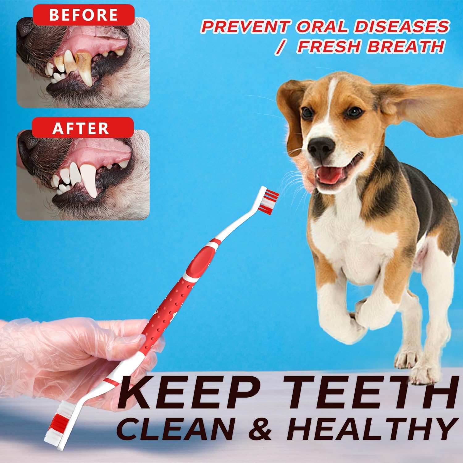 Dog Toothbrush pet Toothbrushes Finger Toothbrush Small to Large Dogs with Soft Bristles Non Slip Dual Head (8 pcs Dual Head + 4 pcs Finger Tooth Brush) - Image 9