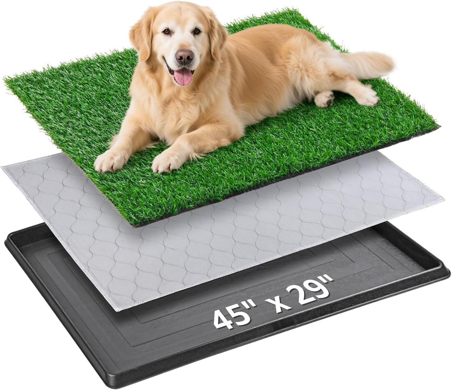 Demonstration of drainage system in Pick For Life pet loo