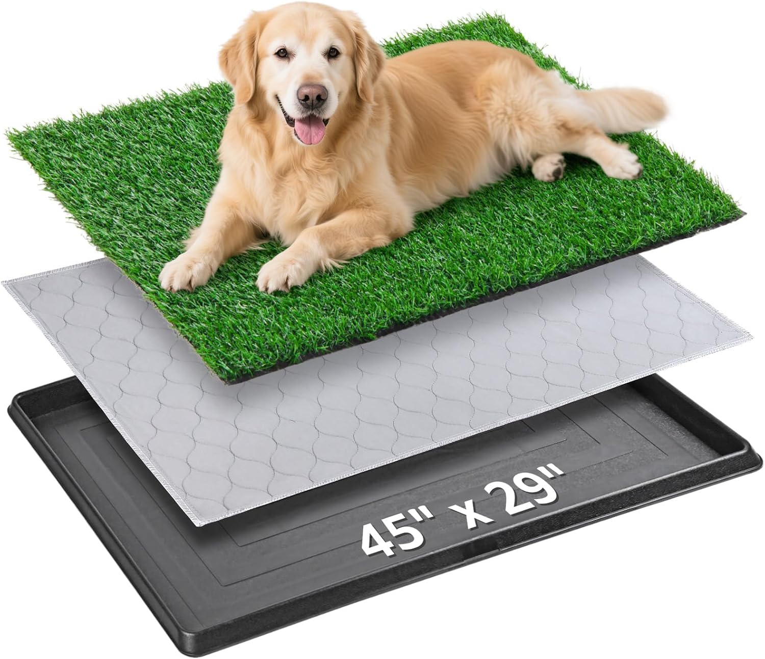 Demonstration of drainage system in Pick For Life pet loo