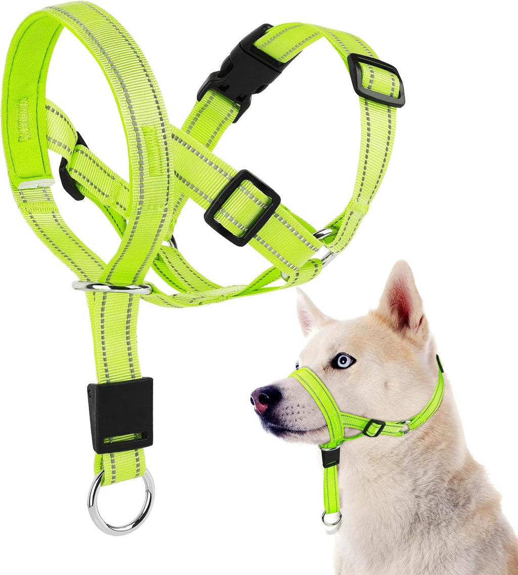 Domiglow green no pull harness collar on a large long snout dog