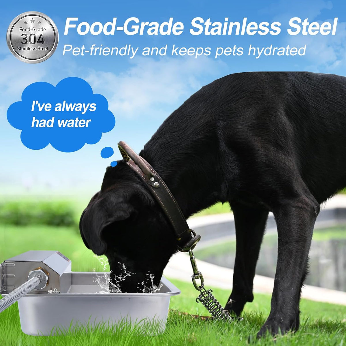 Durable 304 food grade stainless steel dog water feeder with float valve.