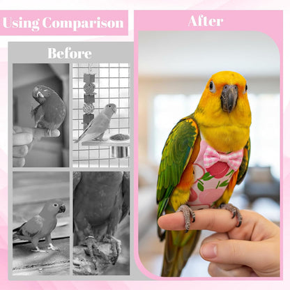 Washable parakeet pampers diaper clothing for small birds