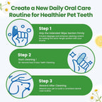 Pet owner using oral cleaning wipe on dog teeth