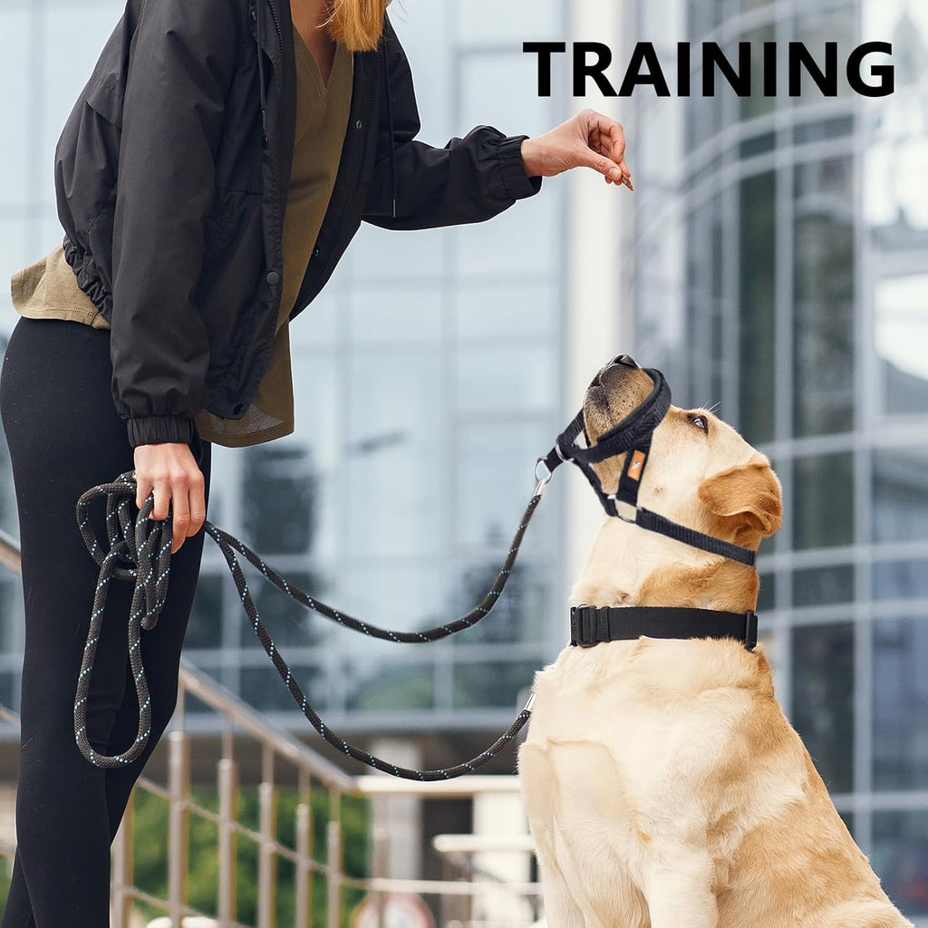 Large dog walking comfortably without pulling while wearing the Wintchuk fabric padded head harness.