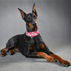 ONEFOJOJO 1.5 inch wide nylon dog collar red daisy floral design