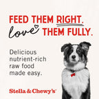 USA imported Stella and Chewy's freeze-dried dog food mixer packaging details